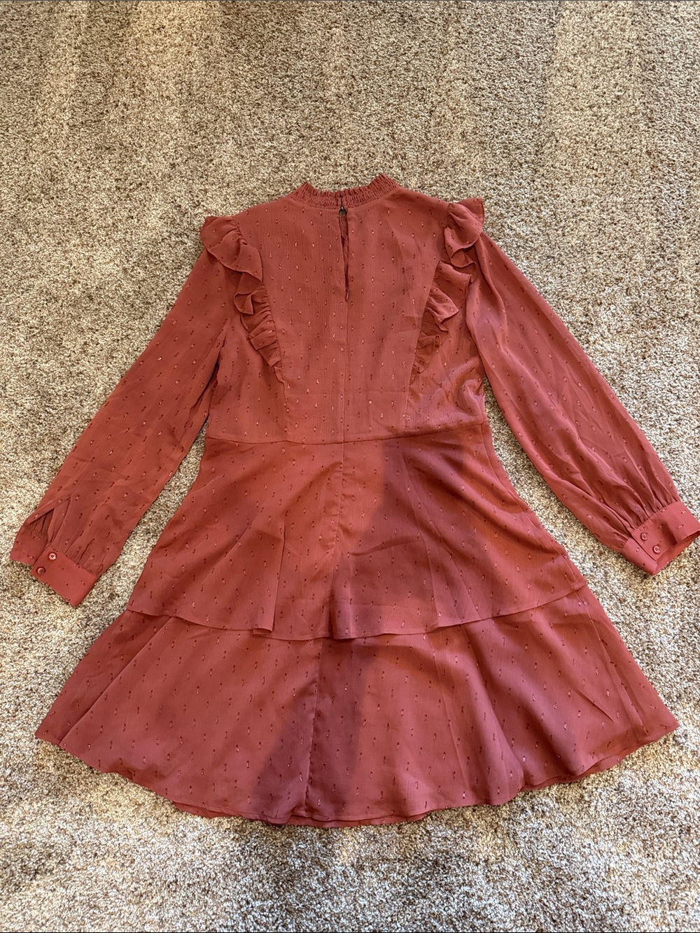 Express Rust Red Ruffled Long-Sleeve Mini Dress - Picture 4 of 4